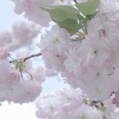 Furry插画光影处理技巧兽圈群